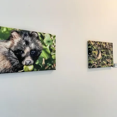 Der Kleine Kranich By Interhome *