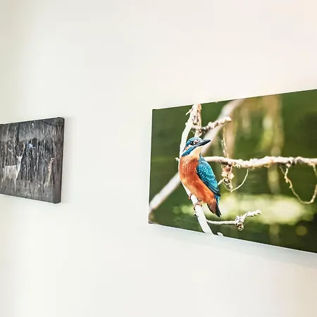 Casa de Férias Der Kleine Kranich By Interhome Saal