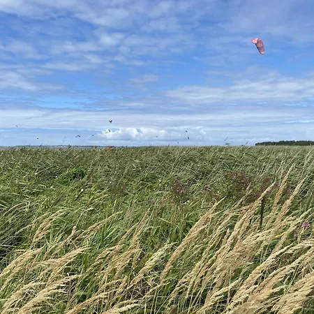 Der Kleine Kranich By Interhome Saal